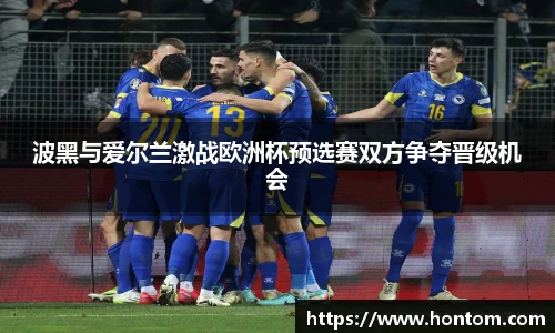 波黑与爱尔兰激战欧洲杯预选赛双方争夺晋级机会